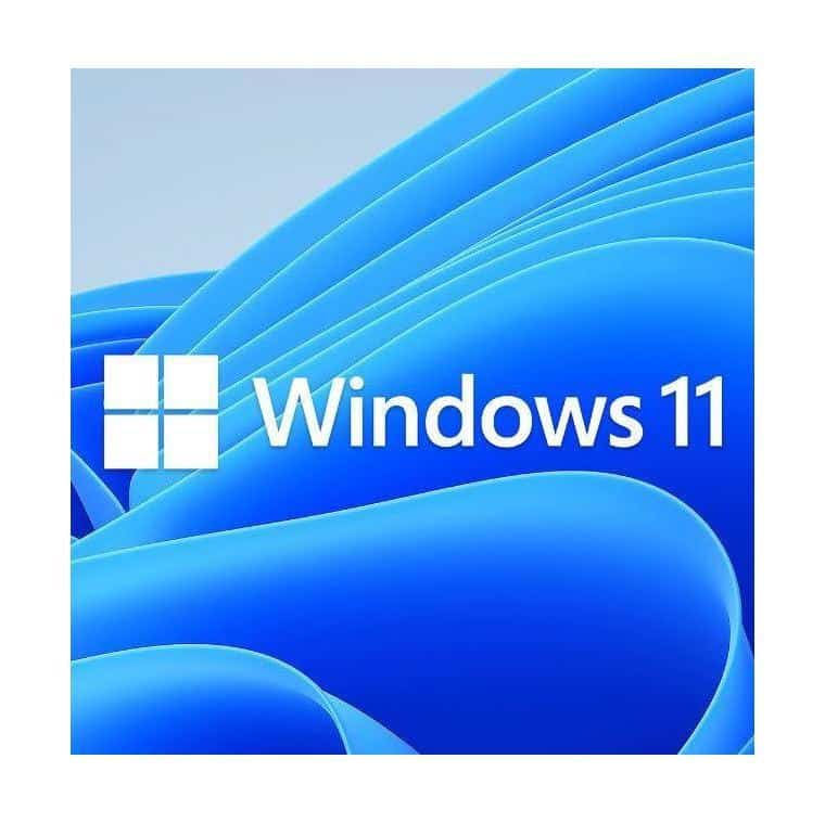 Microsoft Windows 11 Home OEM 64-bit English DVD KEY