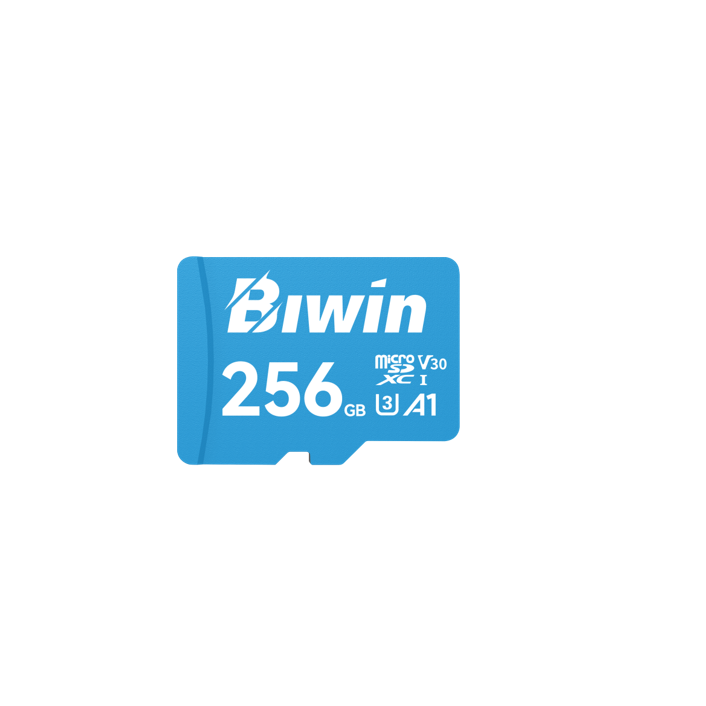 BIWIN MS100-256G microSD 3.0 100MB/s Read 50MB/s Write