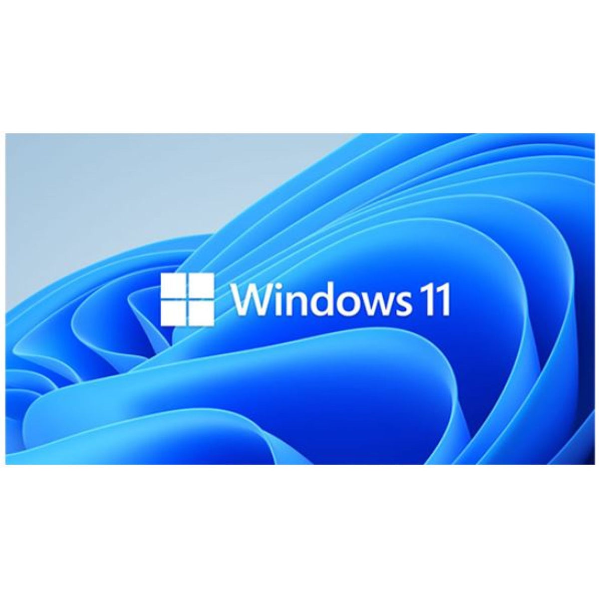 Microsoft Windows 11 Professional 64BIT工作站版