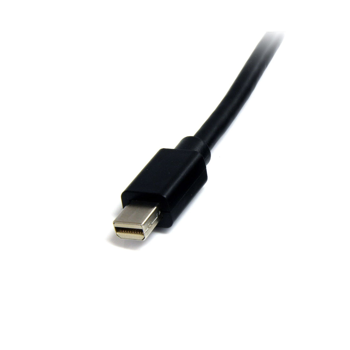 StarTech.com 2m Mini DisplayPort to DP 1.2 Cable 4K x 2K
