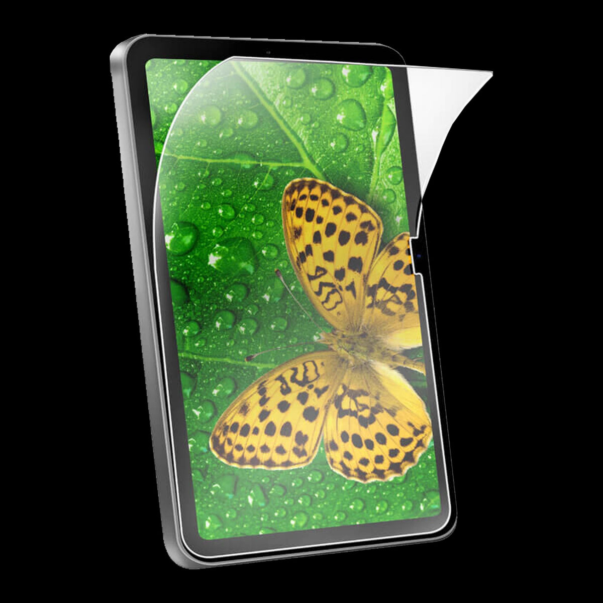 STM EcoGlass Screen Protector iPad 10th/11th Gen Clear