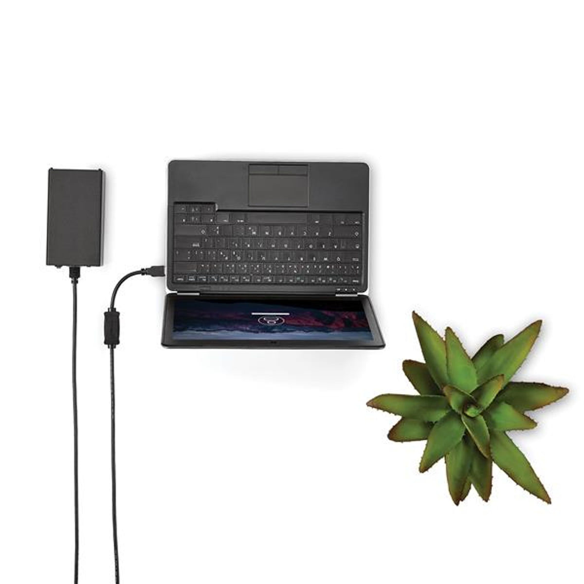 StarTech.com USB 3.0 to eSATA Adapter Cable 3ft SATA 6Gbps