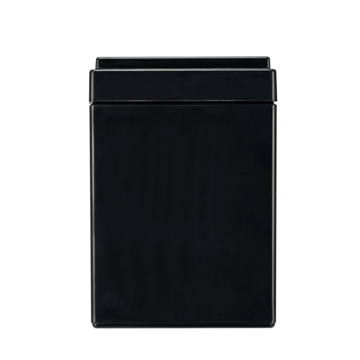APC Replacement Battery Cartridge 176