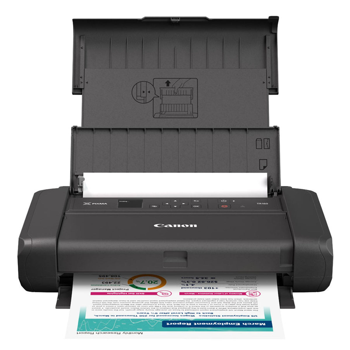 Canon PIXMA TR160 Wireless Mobile Printer with Removable Battery USB Charging