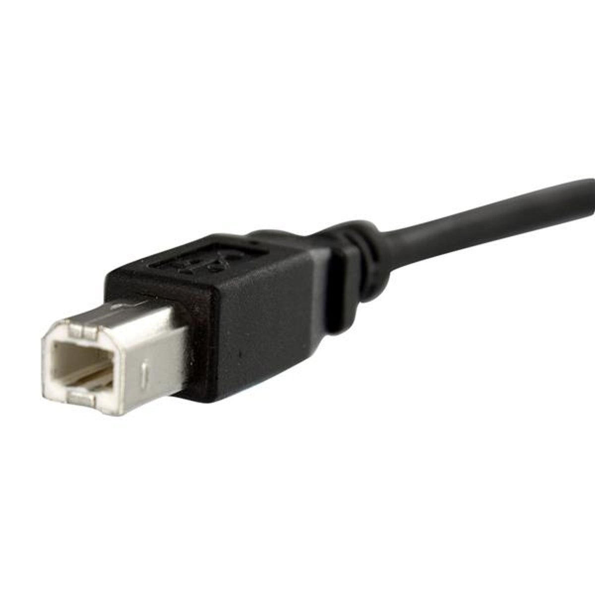 StarTech.com 3ft USB B/F Panel Mount Cable Black