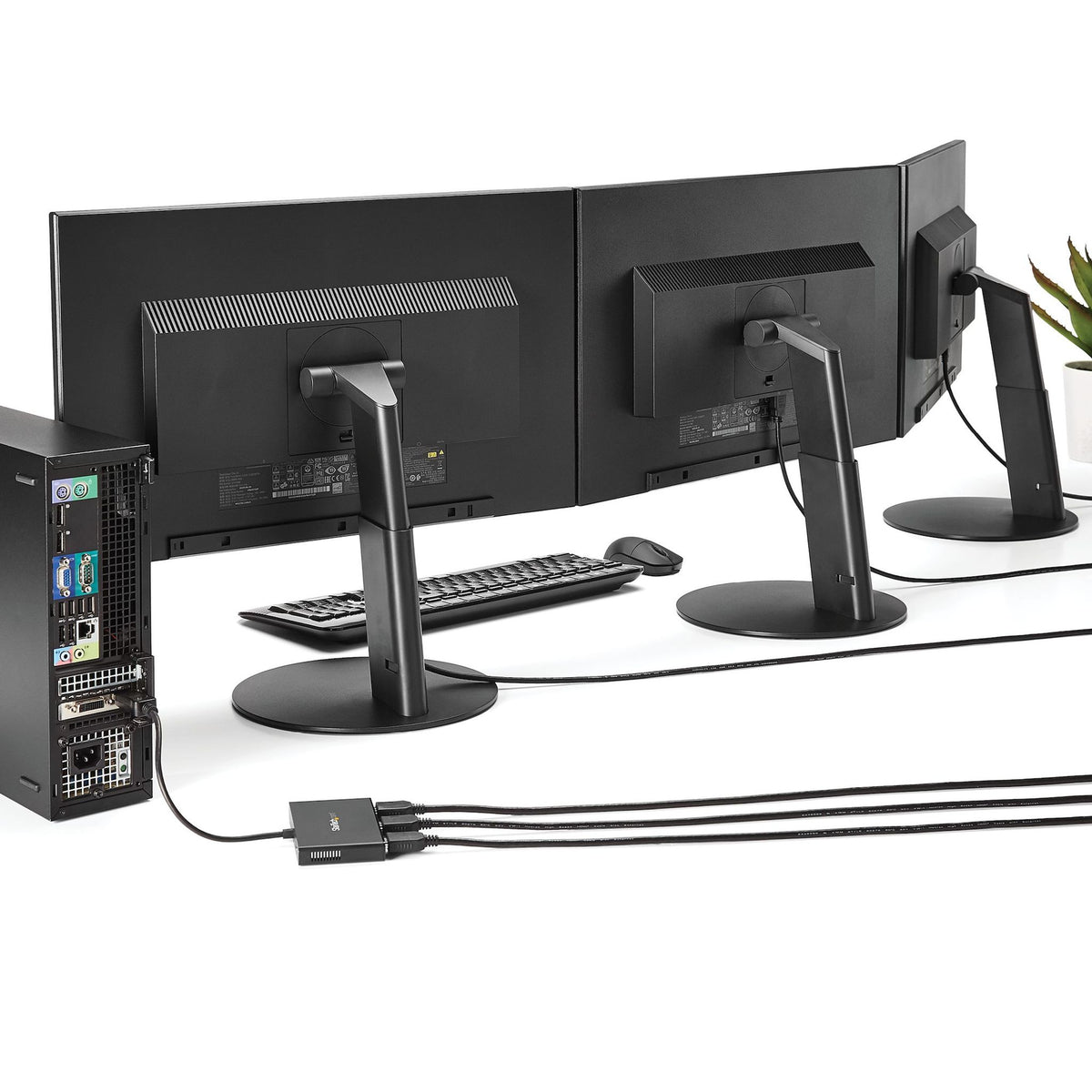 StarTech.com Signal Splitter Plastic 3840x2160 30Hz to 60Hz 15.2m Max Dist