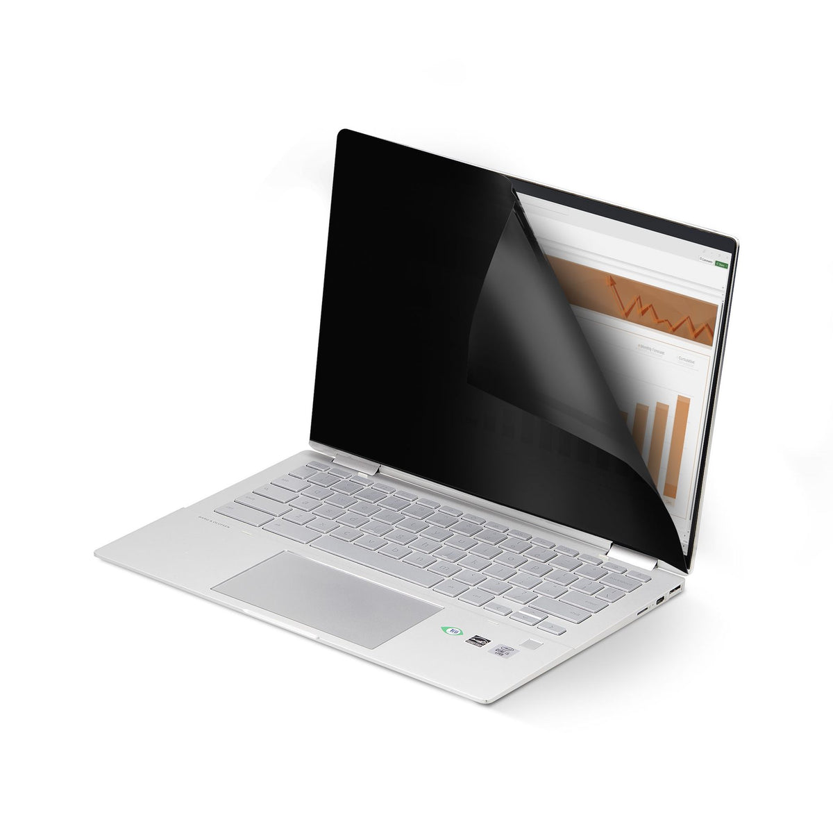 StarTech.com 14" 16:10 Flip-Over Anti-Glare Privacy Screen Blue Light Filter
