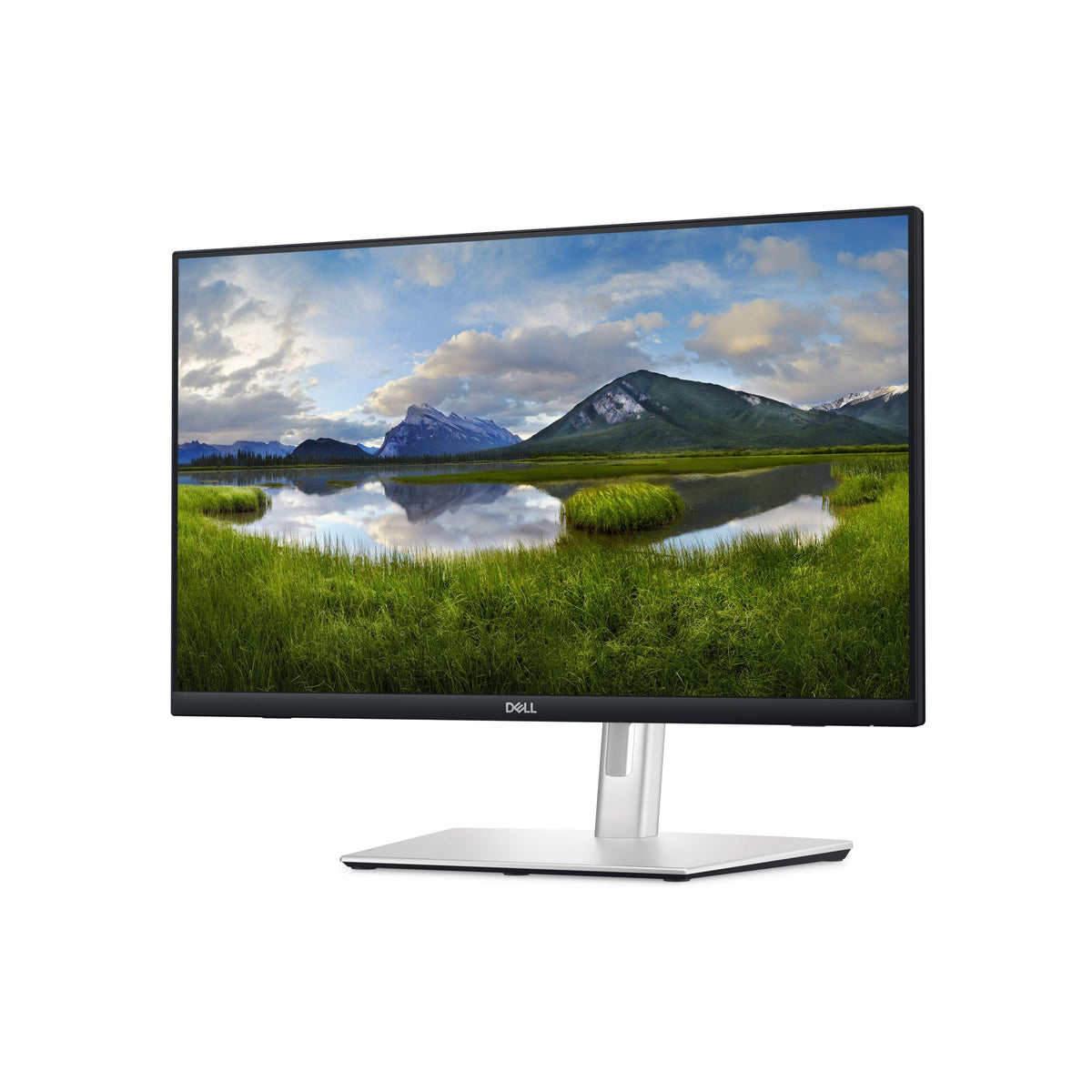 Dell 24" Touch Screen Monitor FHD 1920x1080 60Hz USB-C HDMI DisplayPort VESA