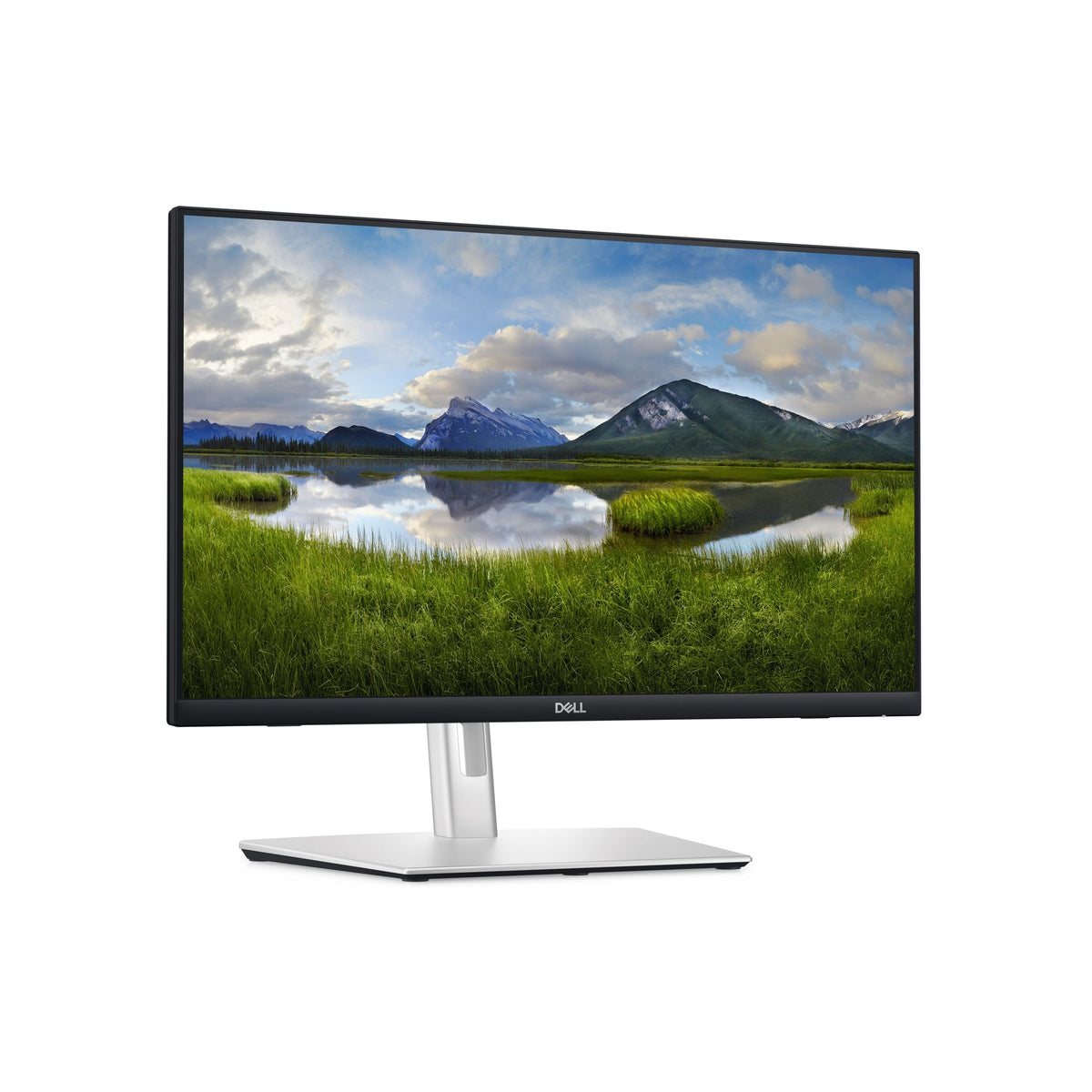 Dell 24" Touch Screen Monitor FHD 1920x1080 60Hz USB-C HDMI DisplayPort VESA