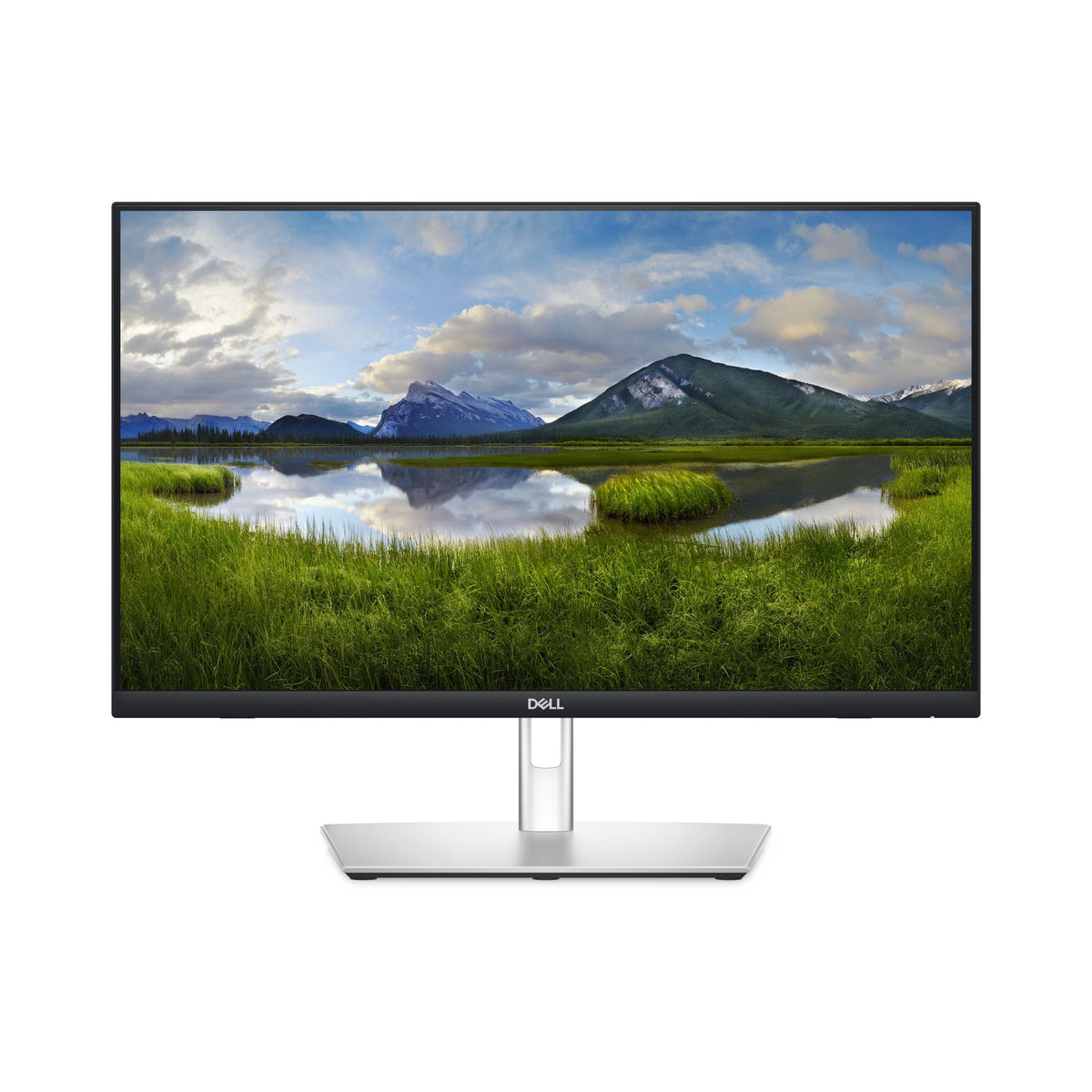 Dell 24" Touch Screen Monitor FHD 1920x1080 60Hz USB-C HDMI DisplayPort VESA