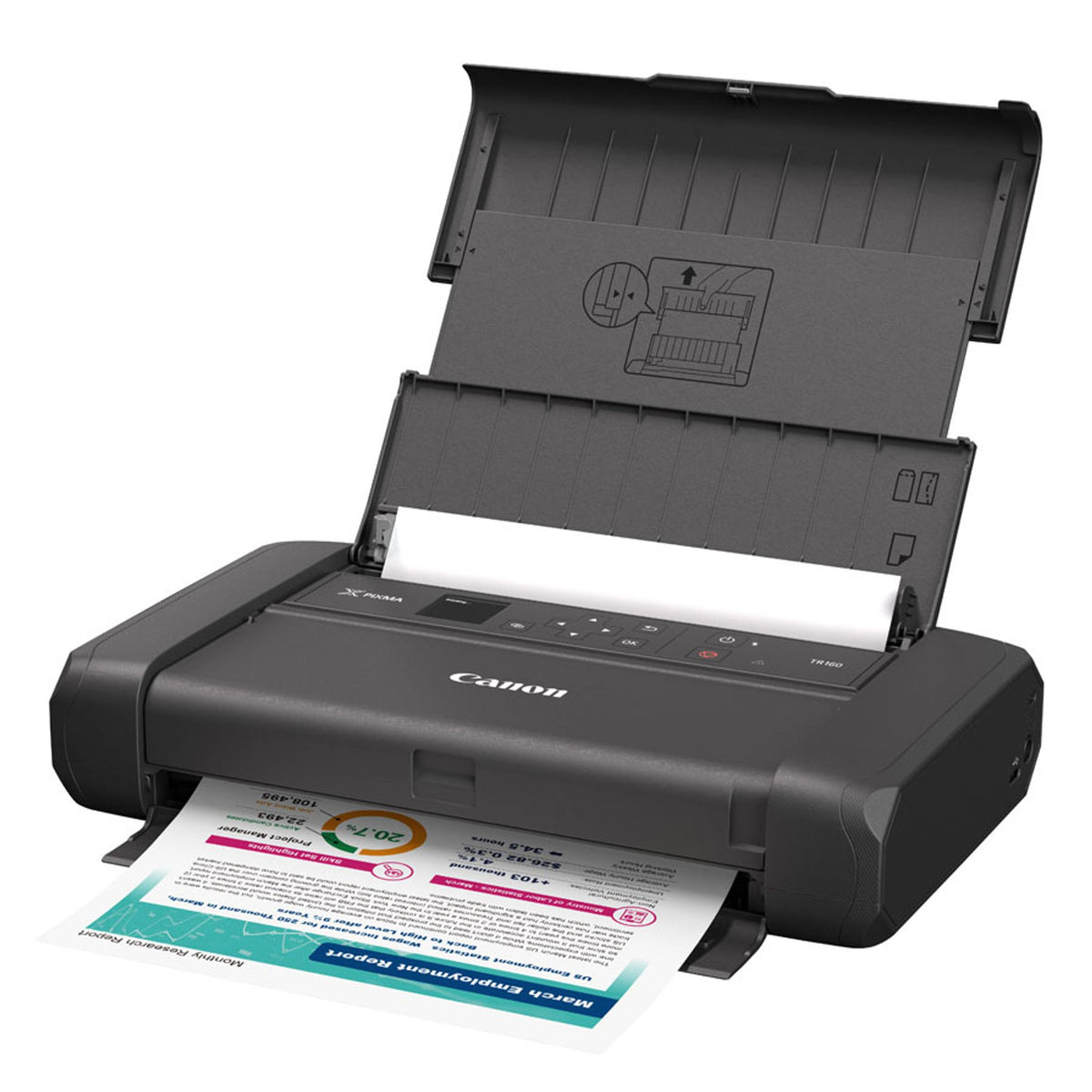 Canon PIXMA TR160 Wireless Mobile Printer with Removable Battery USB Charging